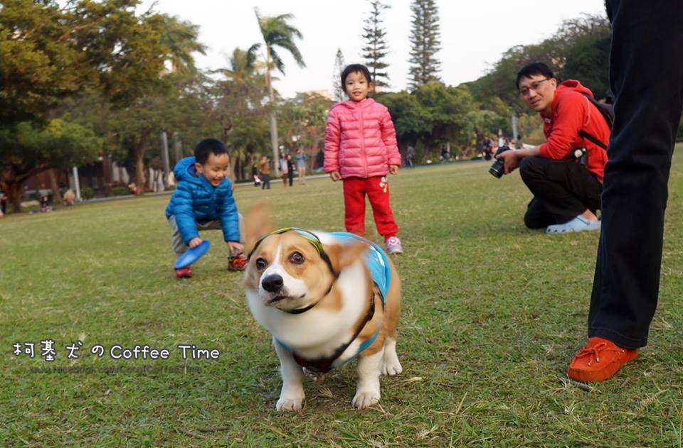 家有毛小孩 = 養多個細路？