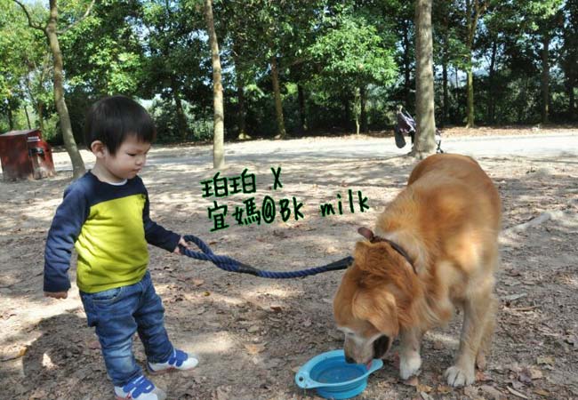 為子女選擇寵物前的幾條問題