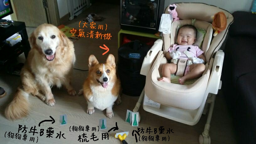 小孩真的可以跟貓狗同住？