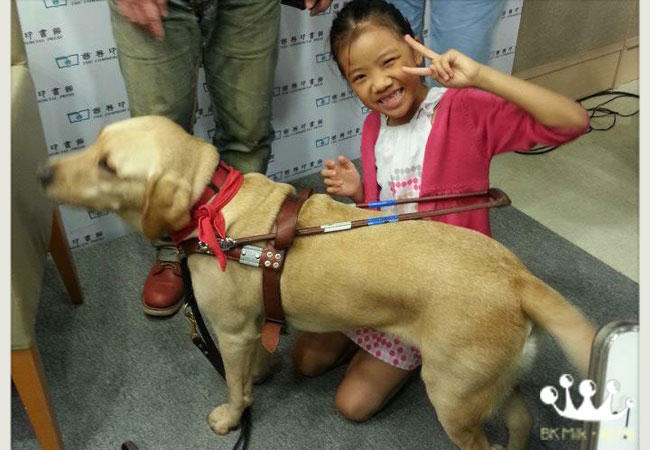 遇見導盲犬的守則 –「三不一問」