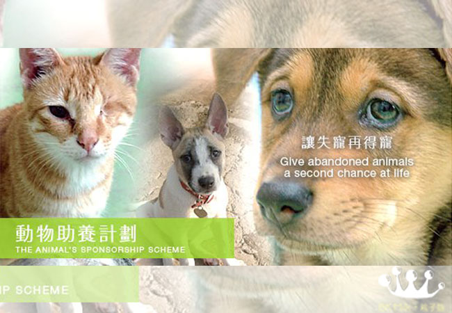 培養孩子的愛心 - 動物助養計劃