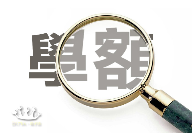 八爪魚家長:(進攻小一) 直資私立發水名額