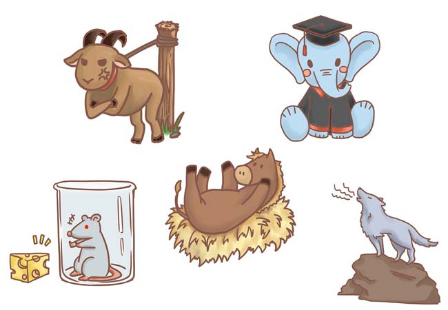 動物加作文 寫作無頭痕 (二)