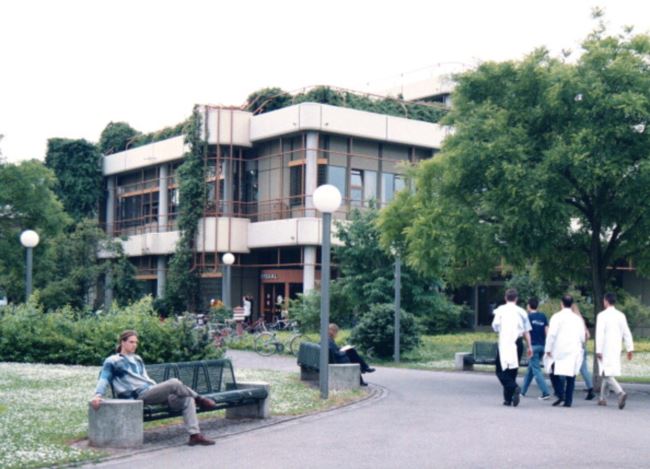 大學學位是個漏斗