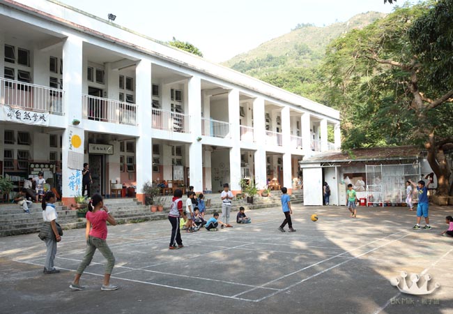 鄉師自然學校：可能係香港最快樂的校園