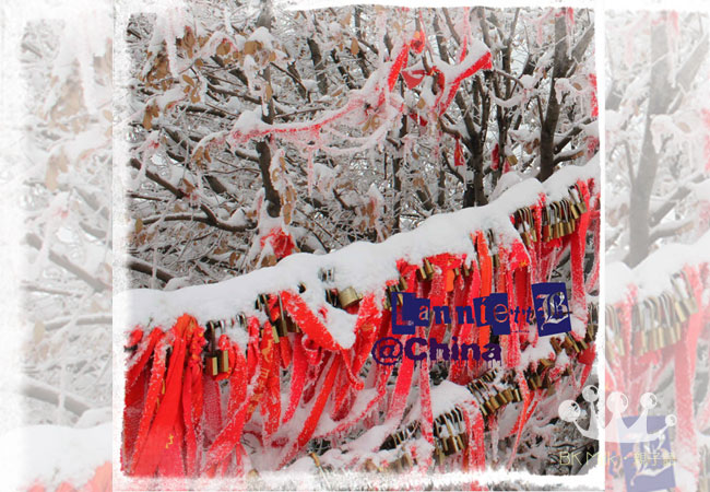 賞雪景的代價