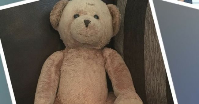 '為什麼我把女兒的骨灰，放進玩具熊內'