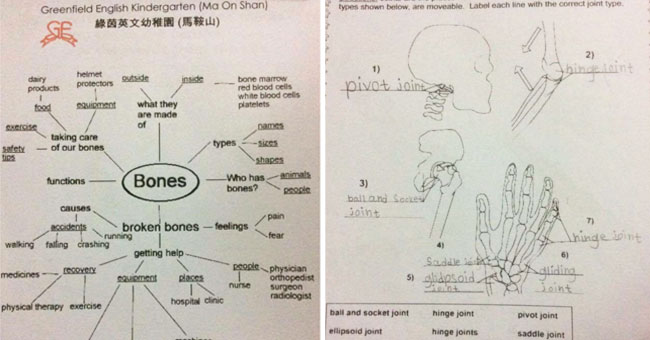 「骨頭英文工作紙」－ 如何分析什麼適合孩子學習？