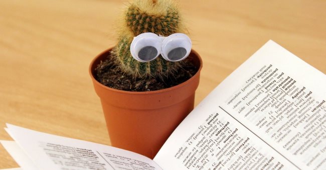 神經科學專家：可能找到了閱讀障礙的原因