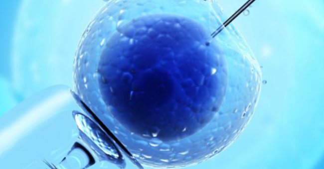 人工受孕過程出錯… 26粒卵子可能 '受錯精'