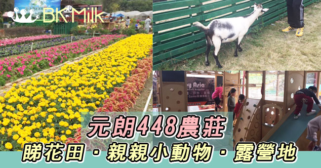 【親子遊】元朗448農莊 花田.小動物.露營