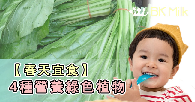 【不時不食】大人小朋友春天宜食的4種綠色植物