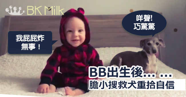 嬰兒的出生，改變了膽小搜救犬