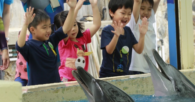 海洋公園：「夏日歷險」＋「七個好習慣」＝有嘢玩有嘢學！