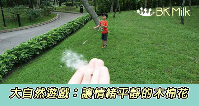 木棉花的季節來了