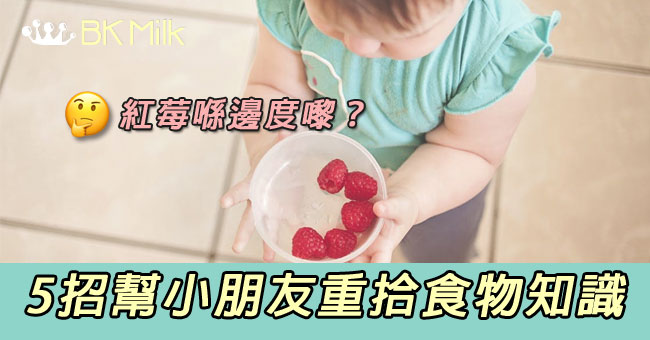 如何教導孩子食物從哪裡來…