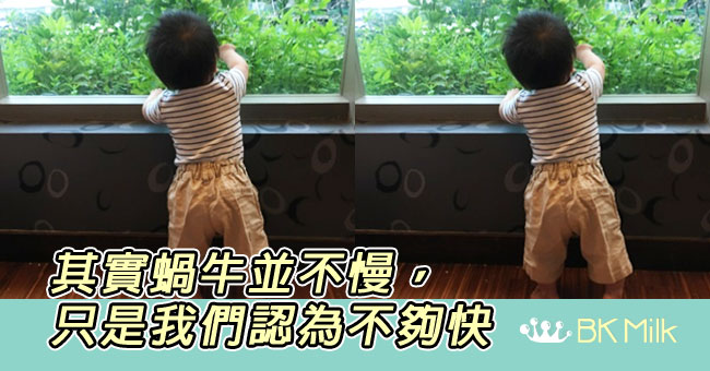【育兒分享】其實蝸牛並不慢，只是我們認為不夠快。
