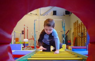 【Baby Gym看社會學】研究報告簡析：父母的社經地位對孩子影響