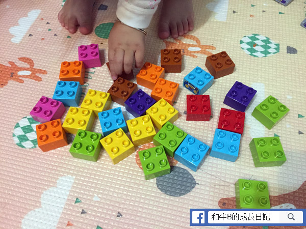 【幼兒教育】Lego 我的多元化的學習玩具