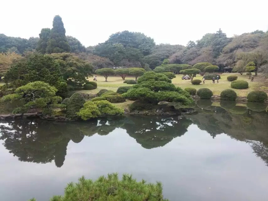 【身心漫遊推介】細B大草地跌撞意外學識走路！新宿中央公園都市一隅