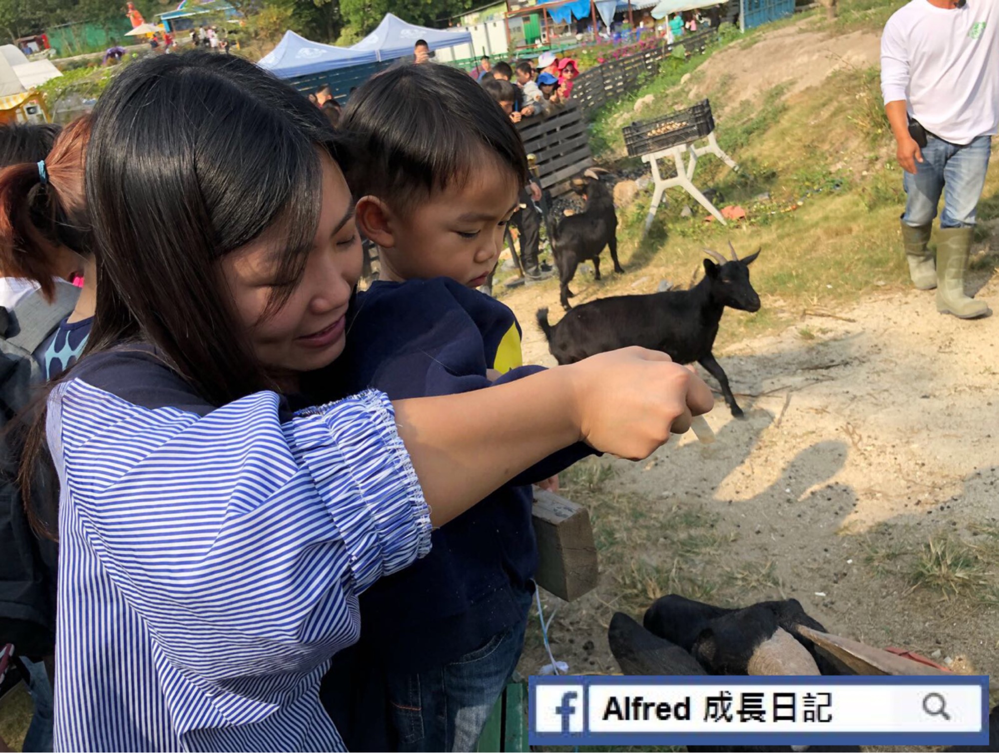 【媽媽心聲】比學術更重要的事：「沒有所謂最好，只有最適合孩子的東西」