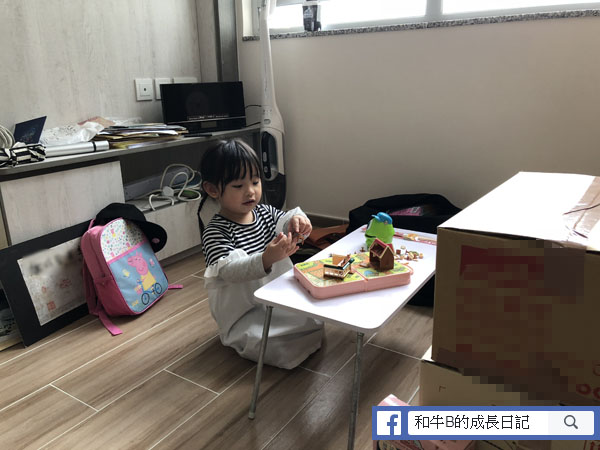 【牛棚入伙】新居除甲醛、除味妙法