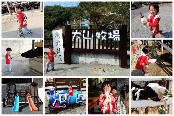 【台灣親子遊】彰化花壇"大山牧場"體驗餵牛喝奶和牧草