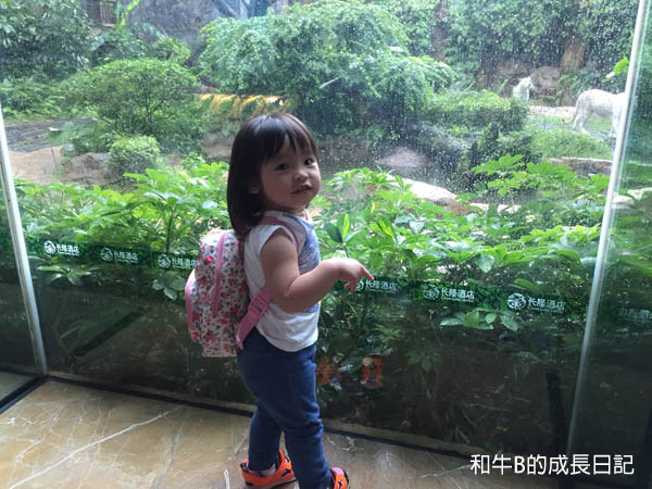 【親子旅行】辦理BB中國旅遊證件 + 出入境流程