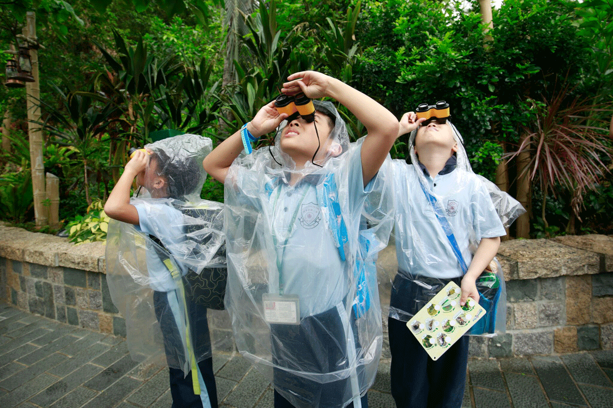 海洋公園大推STEAM學習計劃　一萬名學生免費於園內探索自然生態