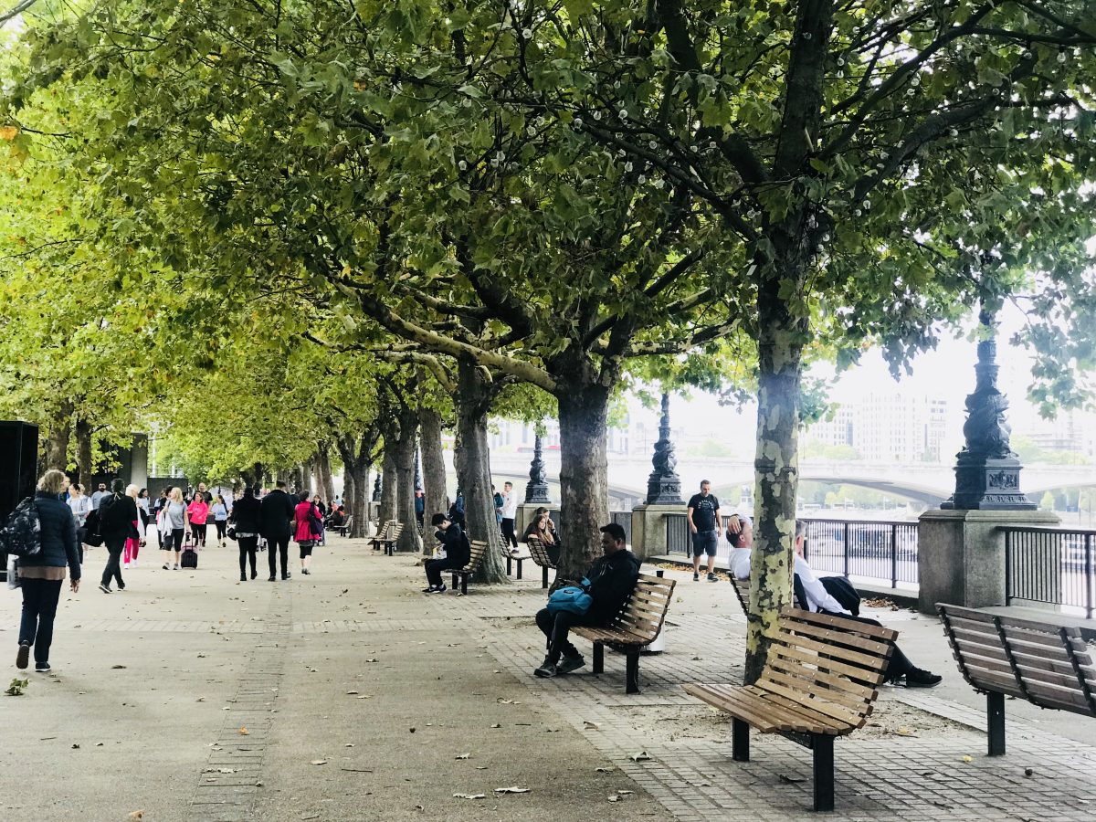 英國移民：企業家簽證最新動議議案