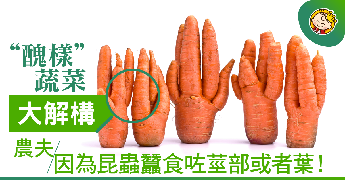 【農夫解答】點解會有“醜樣”的蔬菜？
