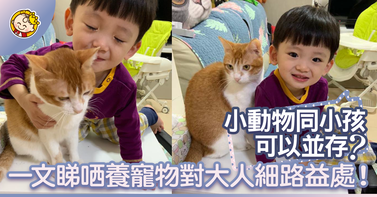 寵物小孩能共存！懷孕不棄養，圓滿這份畢生的愛