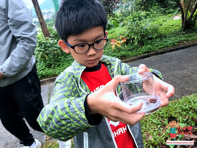 【學做城市生態學家】WWF夏日學堂2019體驗日