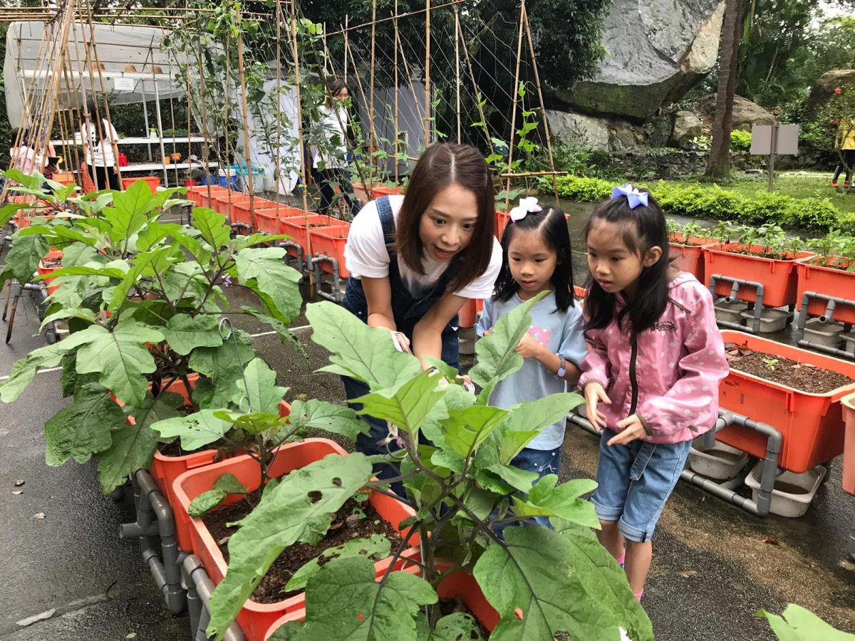 夏日學堂一日營體驗