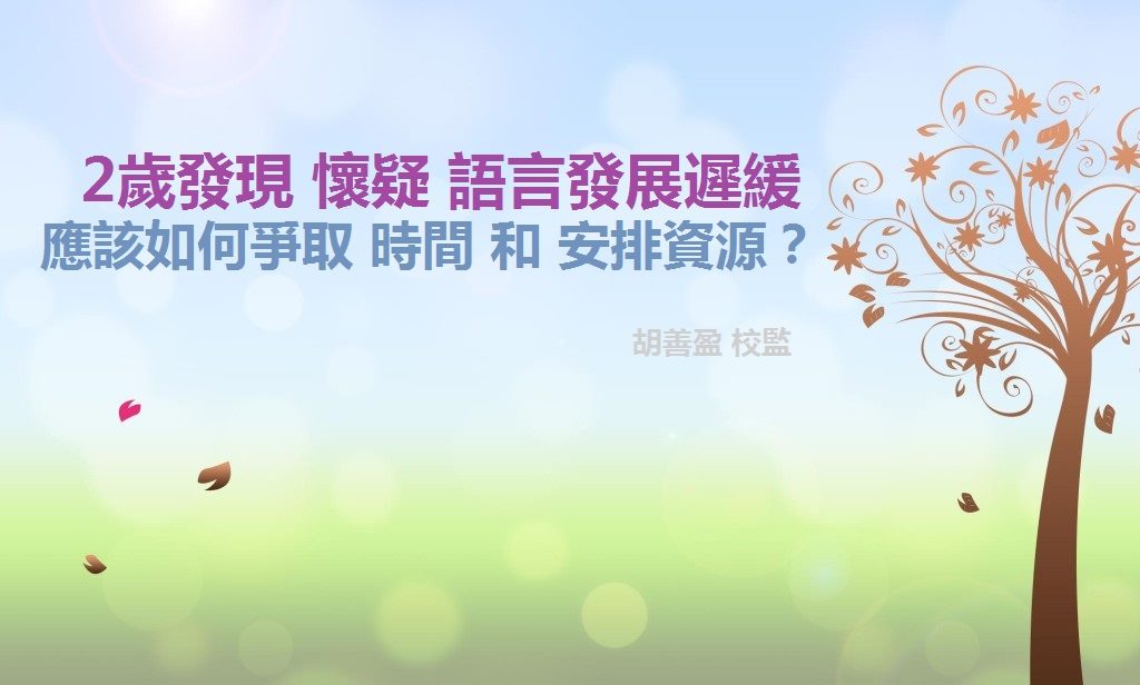 2歲發現懷疑語言發展遲緩，應如何爭取時間和安排資源？