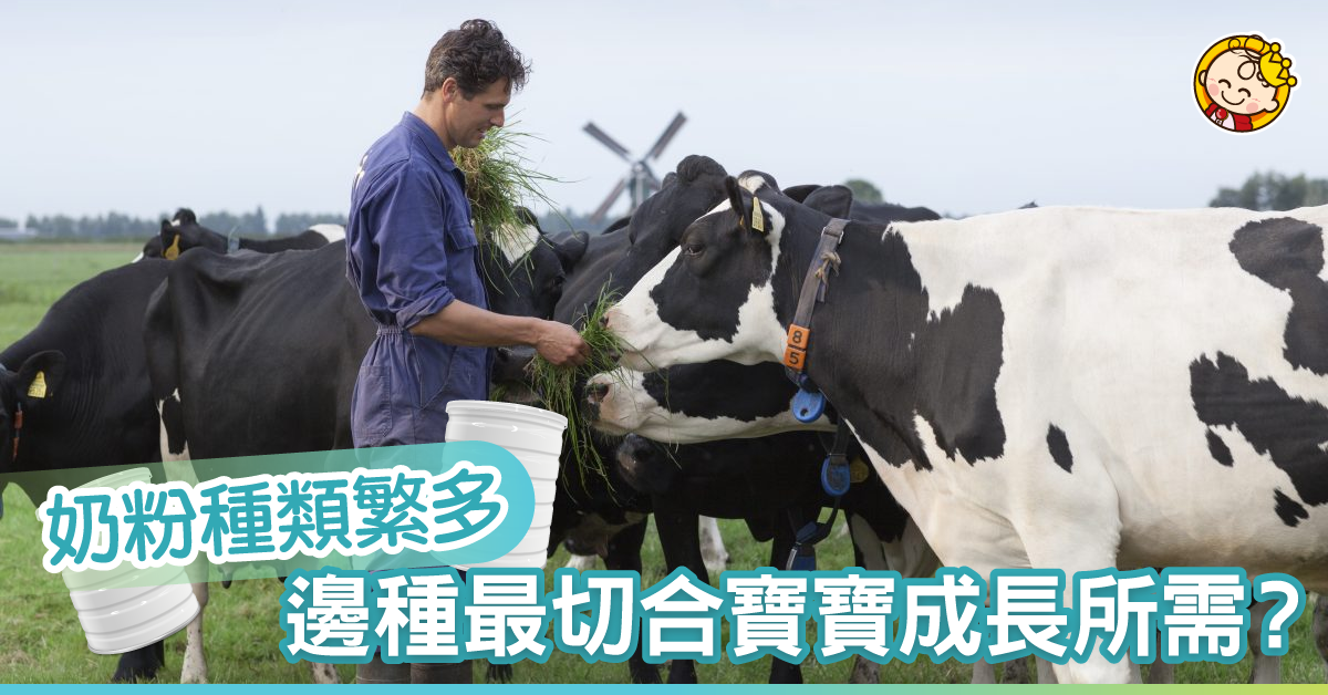 【如何為BB選奶粉?】 荷蘭自家農場 細說由一根草至一杯奶