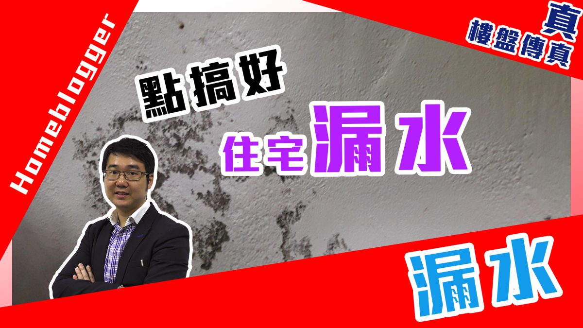 真．樓盤傳真：點搞好住宅漏水