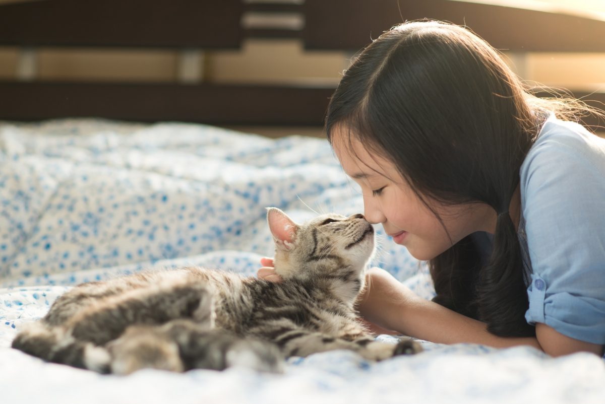如何為之真正「寵」愛家中寵物？