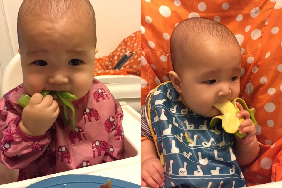 【BLW入門】什麼是BLW？BLW不等於用手食！