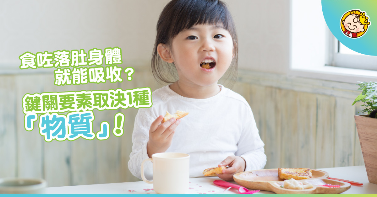 【纖維的迷思】益生纖維與膳食纖維的有關係嗎？