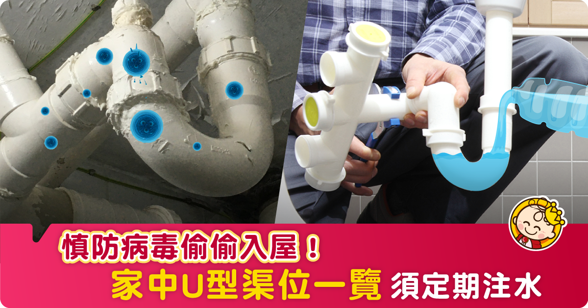 【新冠肺炎】慎防病毒偷偷入屋！ 家中U型渠位一覽 必須定期注水