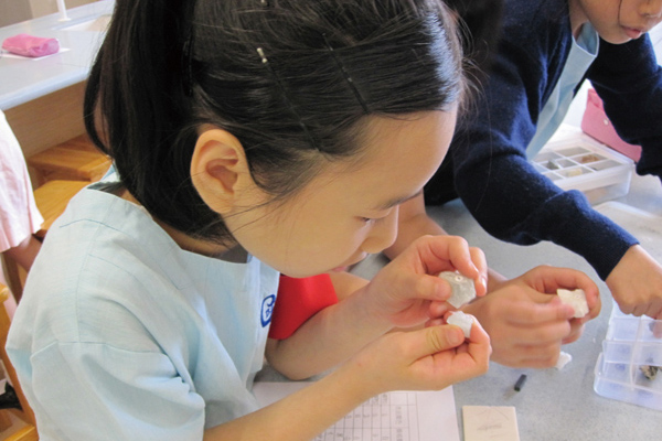「2019香港科學節」與孩子齊來激活跨學科思維