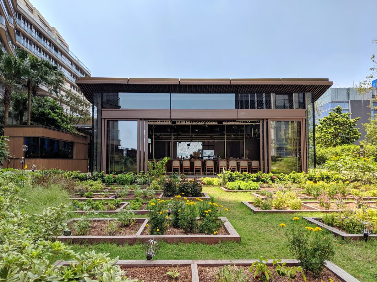 【親親大自然】城中綠洲 Nature Discovery Park 自然導賞團、多玩化親子工作坊