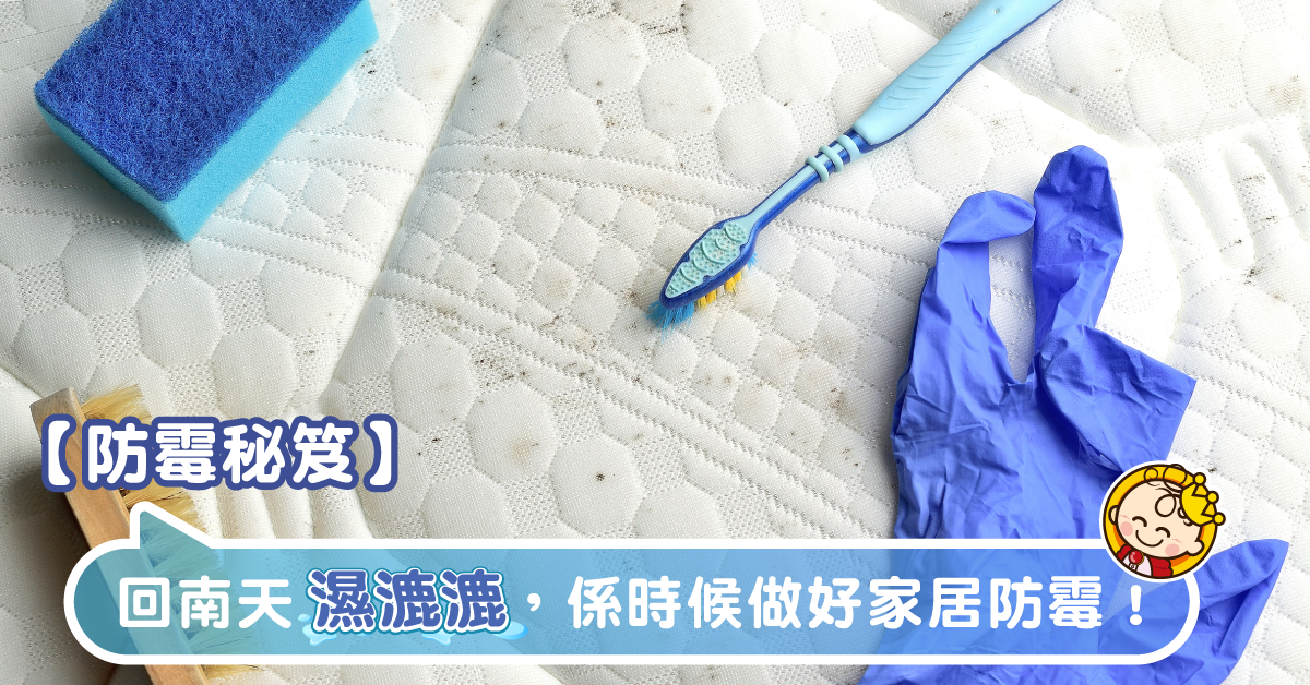 【防霉秘笈】回南天防霉應對大法