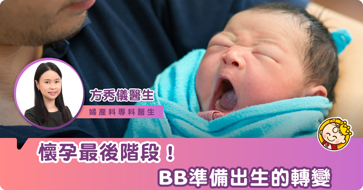在懷孕最後階段，bb自己會如何準備出世？