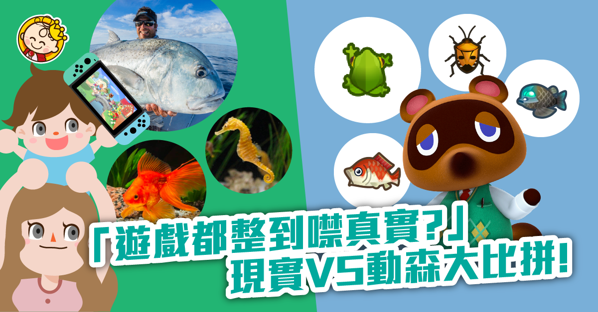 【動森中的生物多樣化】帶小朋友由遊戲走到現實!(不斷更新)
