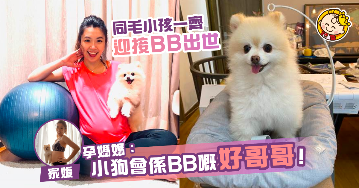 薯B他媽的故事：我哥哥係隻狗？