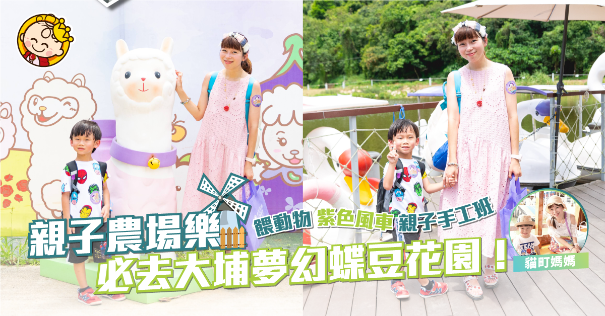 超夢幻蝶豆花園 打卡放電一take過