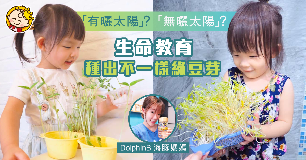 【兩種方法不同效果】親子生命教育小教室!種出不一樣的綠豆芽