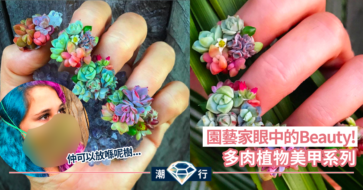 【另類美甲】治癒多肉植物隨身帶 「讓植物堅韌的特質被更多人看見」